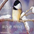 عکس پرندگان زمستانی اثر جورج زامفیر