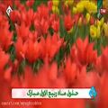 عکس موزیک ویدئو معما با صدای مجید اخشابی