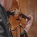 عکس معرفی وی اس تی Native Instruments Stradivari Violin