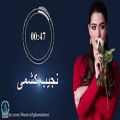 عکس نجیب کشمی_کاکلک هایت غوزه غوزه صنم ای