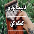 عکس کالیمبا نوازی قطعه بسیار دلنشین توسط مسعود شمیرانی