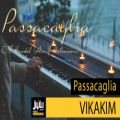 عکس کاور آهنگ Passacaglia توسط Vikakim