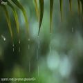 عکس صدای بارش باران همراه با موزیک زیبا و آرامبخش (موسیقی طبیعت)