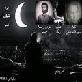 عکس مرد تنهای شب ، حبیب