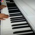 عکس پیانو زدن مهسا باباحاجی پیانیست معروف