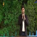 عکس اجرای آهنگ شاد دل دیوونه در شبکه استانی بوشهر