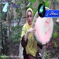 عکس موسیقی سنتی - تکنوازی دف با ریتم آهنگ عشق از کجا - دف نوازی اصیل ایرانی