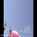 عکس نماهنگ «رنگ محبت»؛ سالار عقیلی (با تصاویر مقبره شهید مدرس (ره)