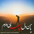 عکس آهنگ پویا بیاتی .بی جنبه