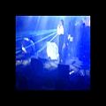 عکس اجرای آهنگ (ای دل) در کنسرت بابک جهانبخش