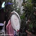 عکس موسیقی سنتی - تکنوازی دف با ریتم آهنگ آذری جان جان - دف نوازی اصیل ایرانی
