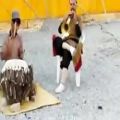 عکس رقص و چوب بازی مردان قشقایی
