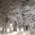 عکس کلیپ دلنشین - کلیپ زیبا از زمستان