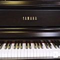 عکس معرفی پیانو دیجیتال یاماها Yamaha CLP-645R | داور ملودی