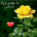 عکس ♡یا صاحب الزمان (ع) ادرکنی♡