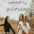 عکس آهنگ مازندرانی به سلامتی رفیق