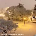 عکس کلیپ زیبای بارش برف موسیقی آرام ودلنشین تصاویر زیبا