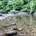 عکس کلیپ موزیکال آواز گنجشک با تم رودخانه برای استوری و پروفایل