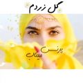 عکس آهنگ محلی گل زردم / موسیقی بستکی / کلیپ عاشقانه