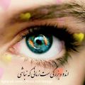عکس حجت اشرف زاده_ تو ماهی و من ماهی این برکه کاشی..‌‌‌‌