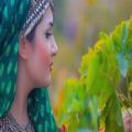 عکس موسیقی افغانی / عاشقانه افغانی / افغانی و هزارگی