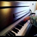 عکس Yiruma - Love Hurts piano performed by E.Grande (پیانو)
