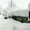 عکس زمستان و برفش/کیا تا حالا همچین برفی رو دیدن؟