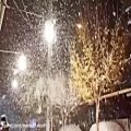 عکس شب برفی مشهد ، برف ،تصویر ، مسعود آبیاری ، عاشق ، دلتنگی ، تنهایی ، snow , love