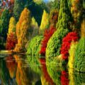 عکس آهنگ باغ رویاها - بسیار آرامش بخش و زیبا - با تصاویر بسیار زیبای پاییزی