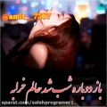 عکس آهنگ غمگین و احساسی حسین عامری / باز دوباره شب شد و حالم خراب شد