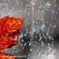 عکس استوری عاشقانه واتساپ : باران