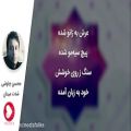 عکس آهنگ عاشقانه ایرانی (محسن چاوشی - شدت میدان)