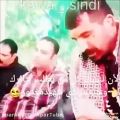 عکس کلیپی از اسطوره دلها وحید مرادی / لوتی تهران / پر طرفدار و مشتی