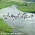 عکس از صدای گذر عمر چنان فهمیدم .....