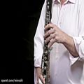 عکس معرفی کلارینت باس Bass clarinet