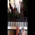عکس اجرای پیانو بسیار زیبای قطعه Sonata Fm k.466Scarlatti