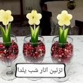 عکس ایده و خلاقیت_ تزیین انار شب یلدا.....