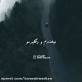 عکس آهنگ ریل #حامد_زمانی