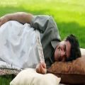 عکس یارم به یک لا پیرهن خوابیده زیر نسترن/محمدرضا شجریان