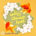 عکس دکلمه ابر می‌بارد از امیرحسین زینلی جمسی (توضيحات بخونید)