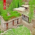 عکس کلیپ زیبای مازندرانی آق ننه با صدای سید پرویز سیاهدشتی و چنگیز نیکرفتار