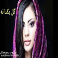 عکس آهنگ افغانی احساسی و عاشقانه _ ترانه هراتی شاد