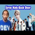 عکس ری اکشن مهدی به موزیک ویدیو Back door استری کیدز