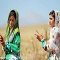 عکس ترانه زیبای کرمانجی دوتارامن - موسیقی شمال خراسان - اصغر باکردار