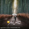 عکس کلیپ عاشقانه خاص _ آهنگ عاشقانه برای استوری