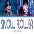 عکس Snow Flower (feat. Peakboy) by V lyrics