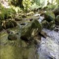 عکس صدای جنگل و رودخانه و صدای جویبار با موسیقی بسیار زیبای طبیعت