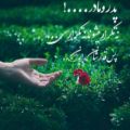 عکس آواز اصفهان با هنرمندی بیتا مالکی