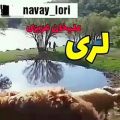 عکس آهنگ لری فوق جذاب