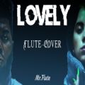 عکس آهنگ لاولی از بیلی ایلیش با فلوت ریکوردر || Billie Eilish - Lovely Flute Cover